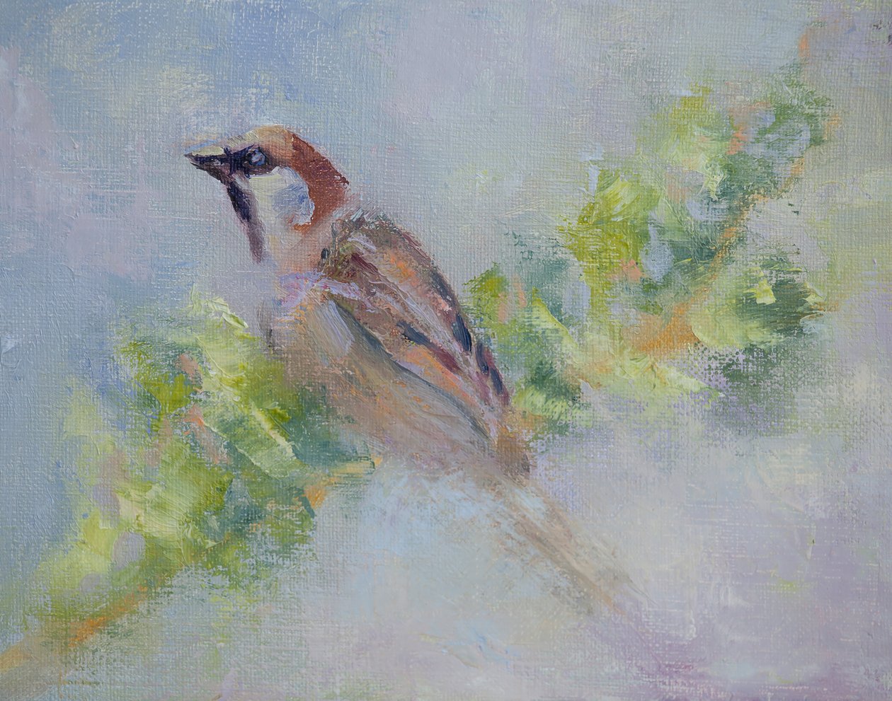 P. Domesticus, 2014 (óleo sobre tela) de Roberta Murray