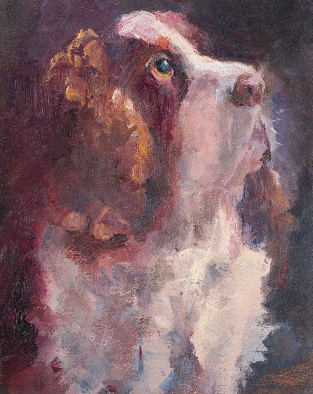 Romeu, 2015 (óleo sobre painel) de Roberta Murray