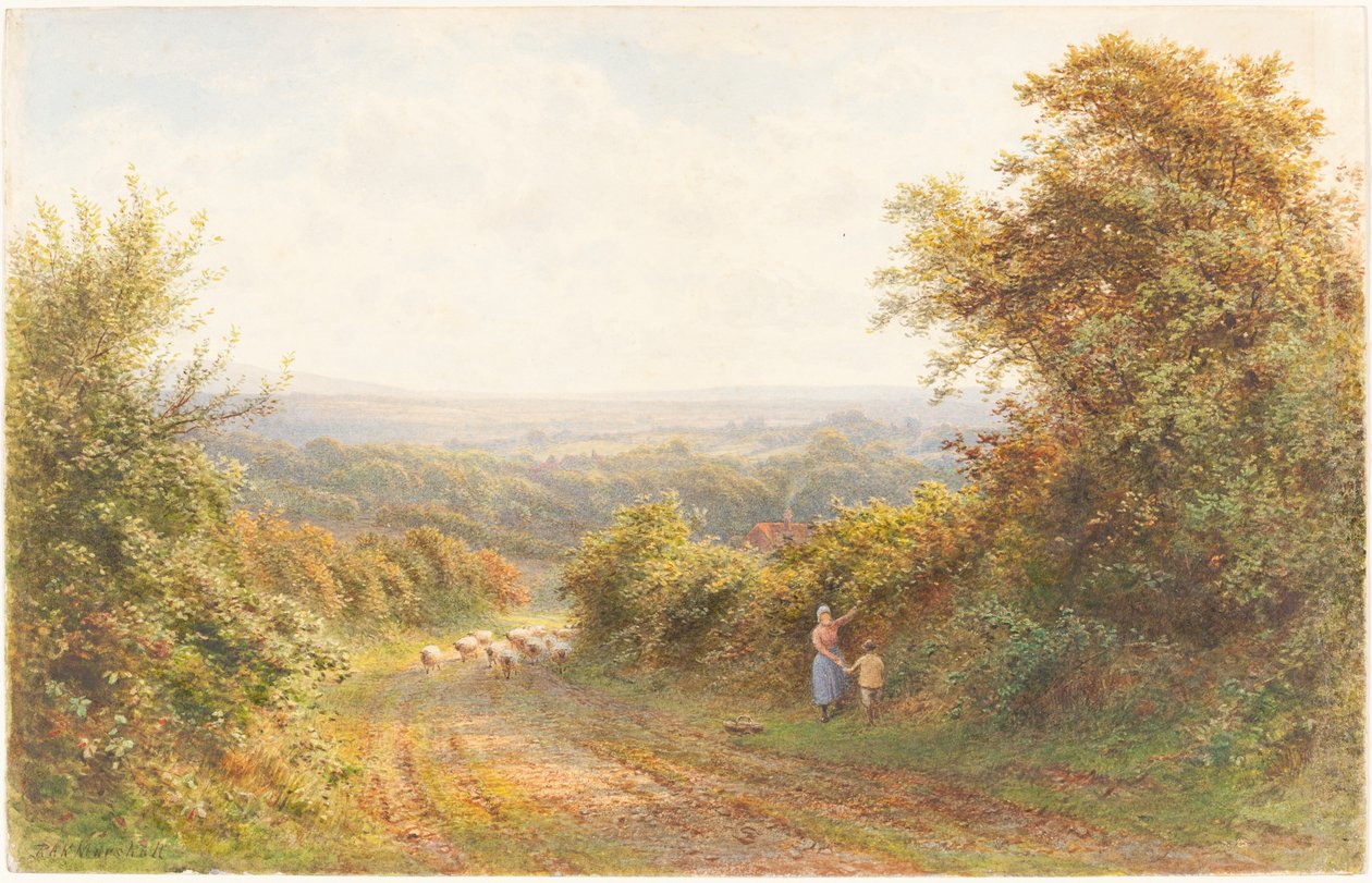 Squirrel Lane, perto de Magham Down, Sussex de Roberto Angelo Kittermaster Marshall