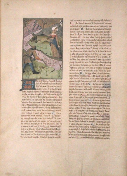Sra. Fv VI  1 fol. 5v pesca, ilustração do livro de medicamentos simples por Matthaeus Platerius (dc1161) c.1470 de Robinet Testard