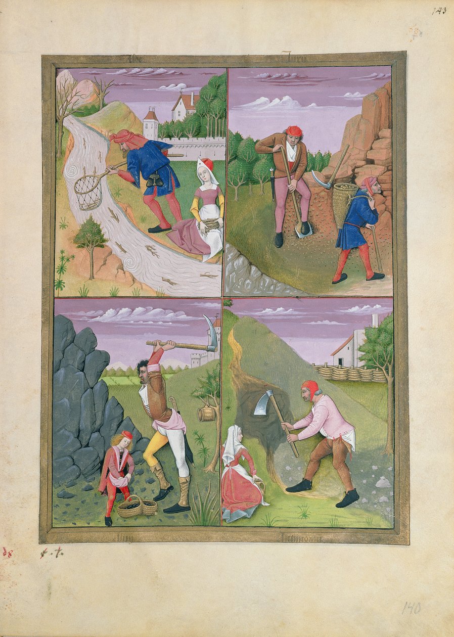 Ilustração do livro de medicamentos simples por Mattheaus Platearius 143r de Robinet Testard