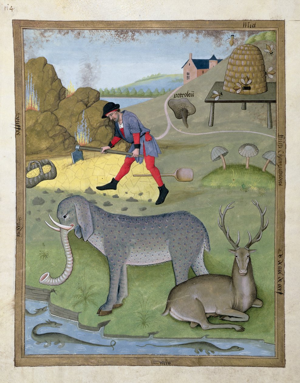 Ilustração do livro de medicamentos simples de Mattheaus Platearius 168v de Robinet Testard