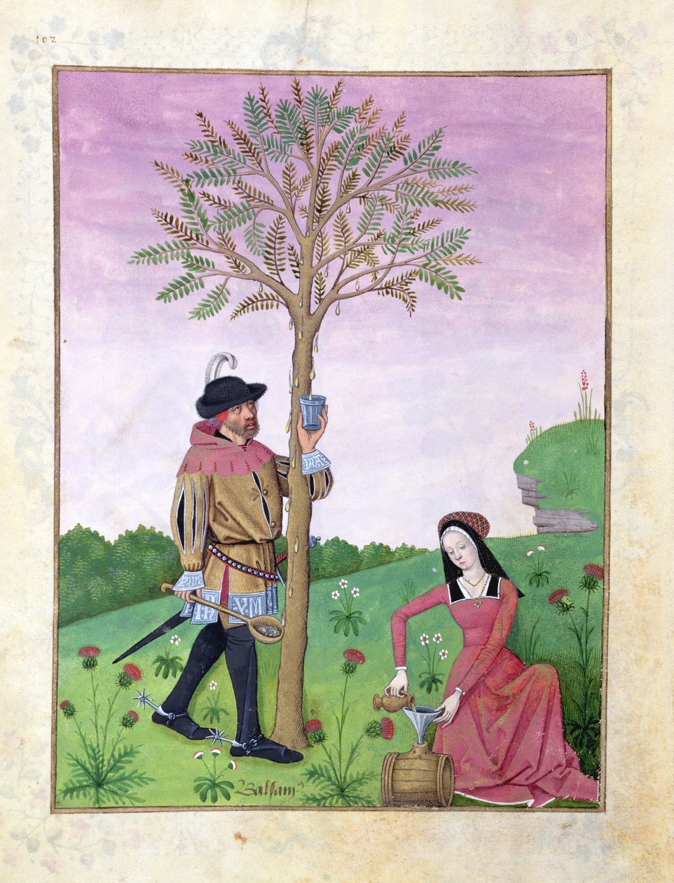 Sra. Fv VI  1 fol.162v Tirando seiva de uma árvore, Ilustração do &39;Livro de Medicamentos Simples&39; por Mattheaus Platearius (dc1161) c.1470 (velino) de Robinet Testard
