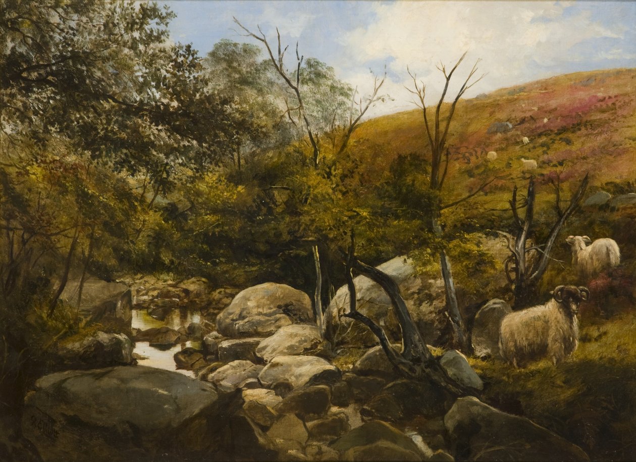 No Black Burn, perto de Rothbury de Robinson Elliott