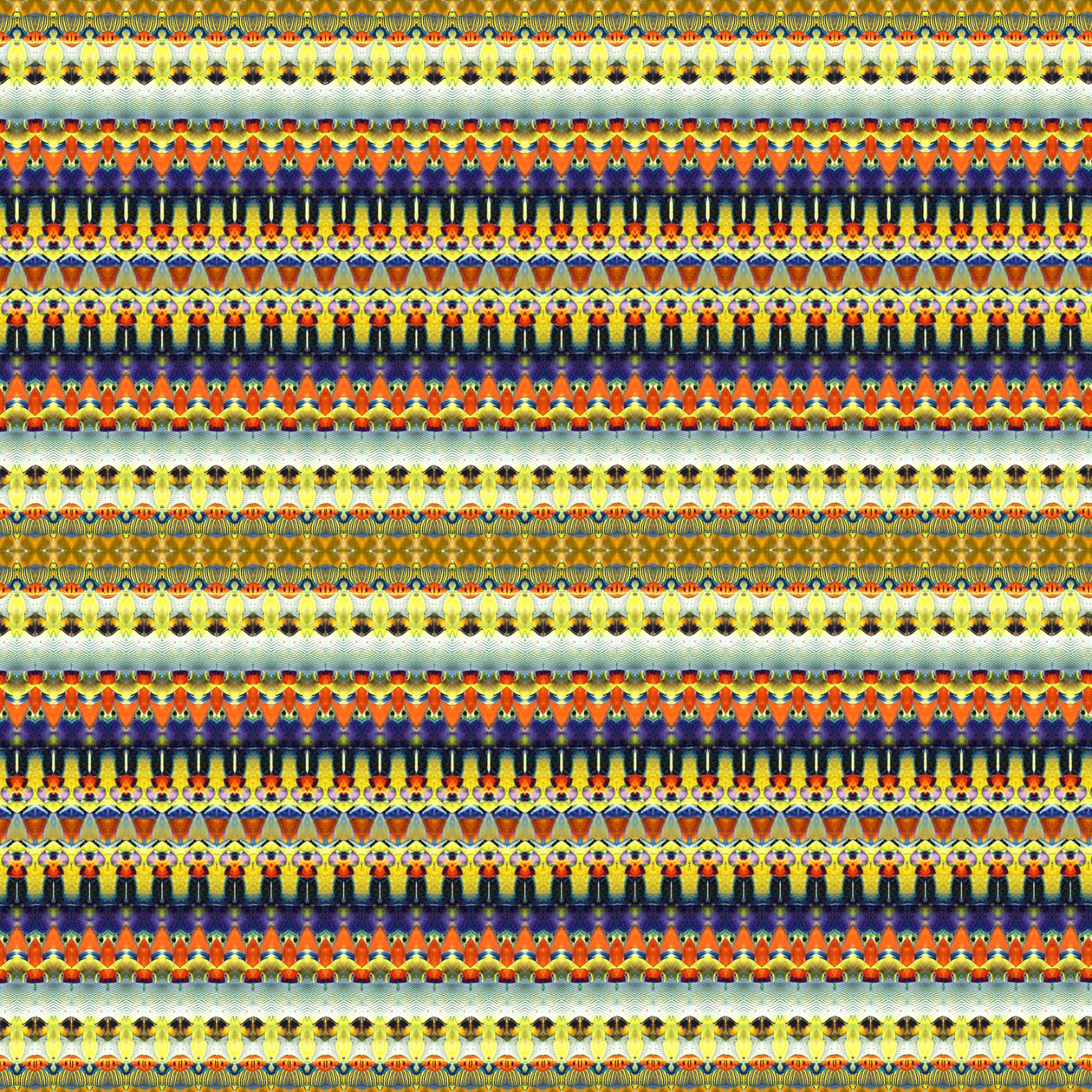 Listra Laranja Tribal de Robyn Parker