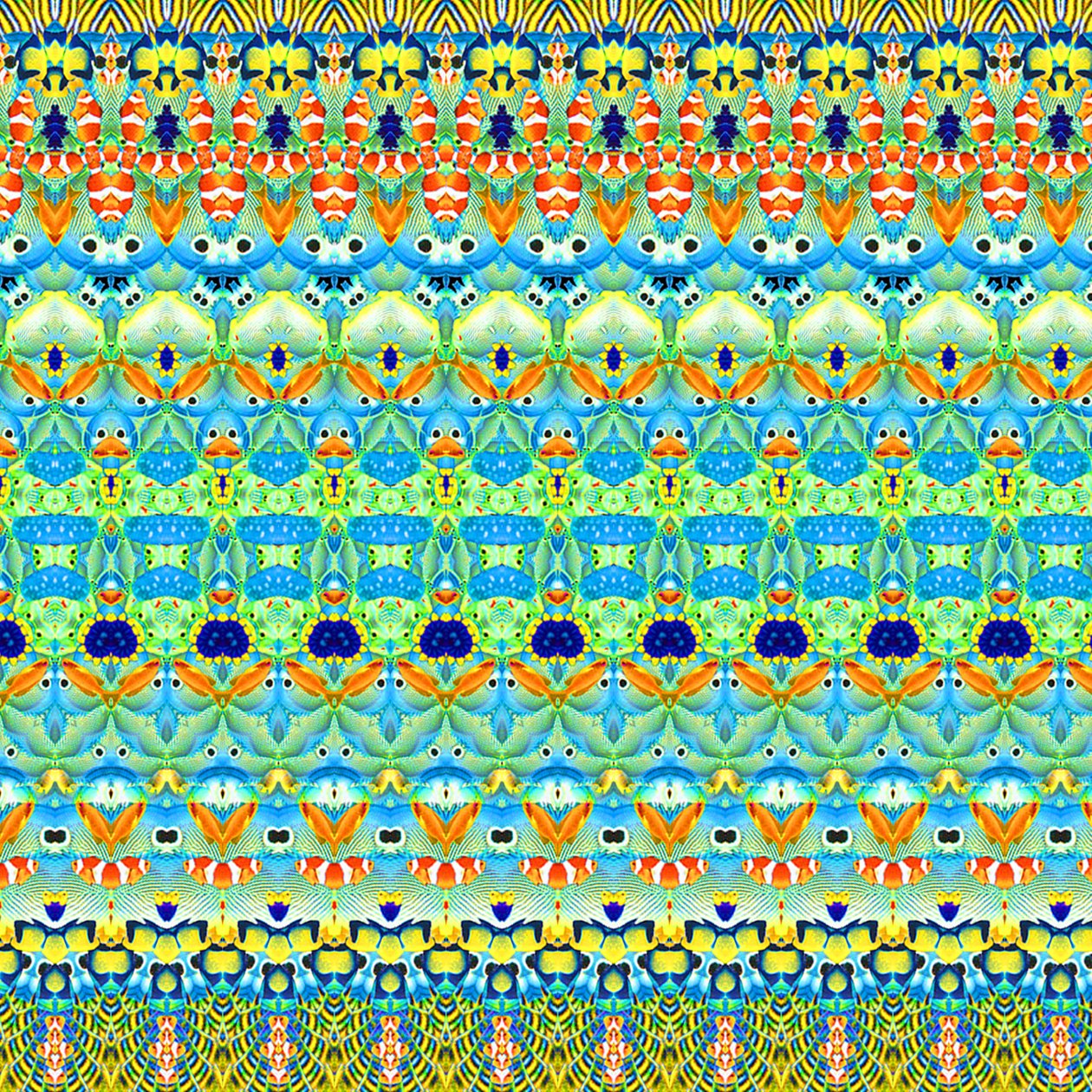 Listra de peixe tropical de Robyn Parker