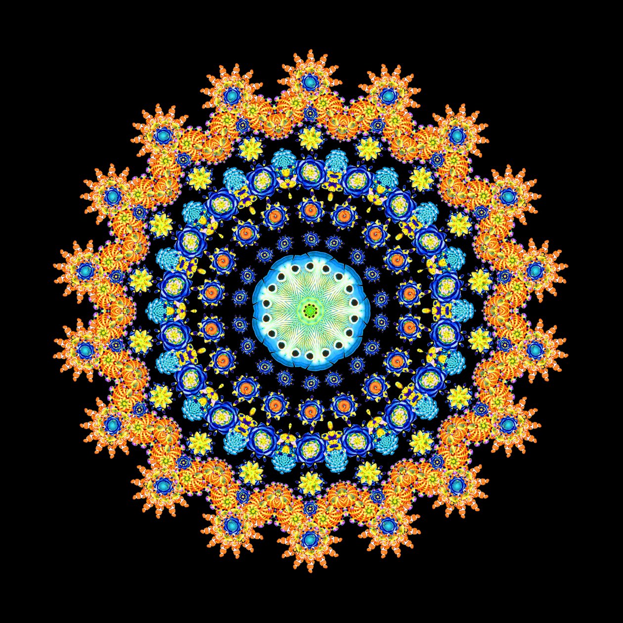 Roda de peixe tropical 2 de Robyn Parker