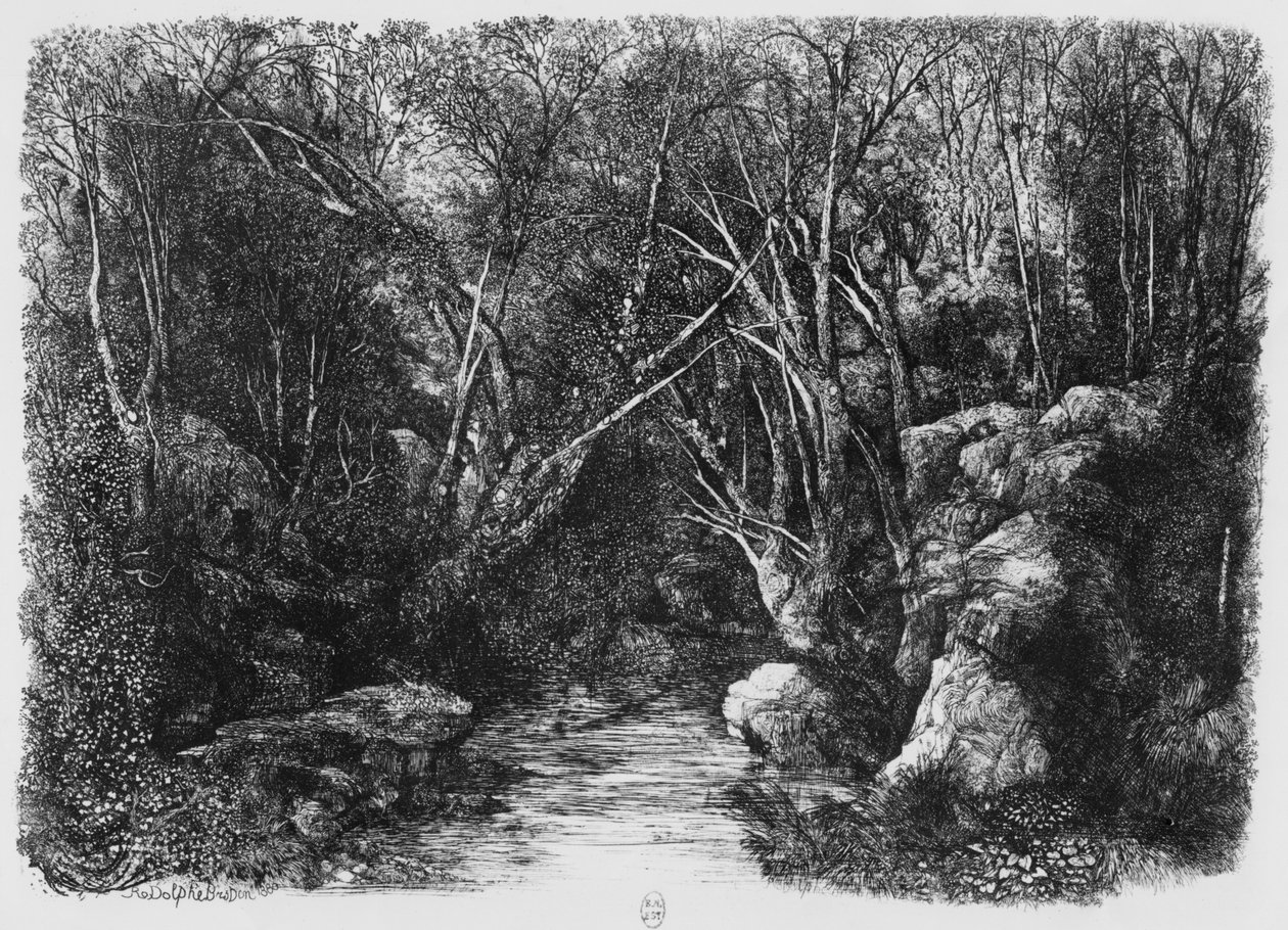 O córrego através das árvores, 1880 de Rodolphe Bresdin