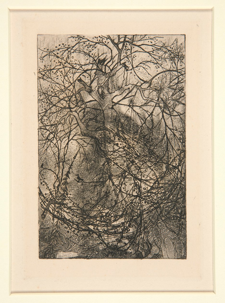 Sucursais de Rodolphe Bresdin