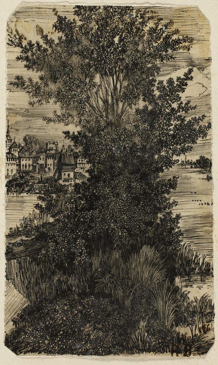 Grupo de árvores com uma vila à distância de Rodolphe Bresdin