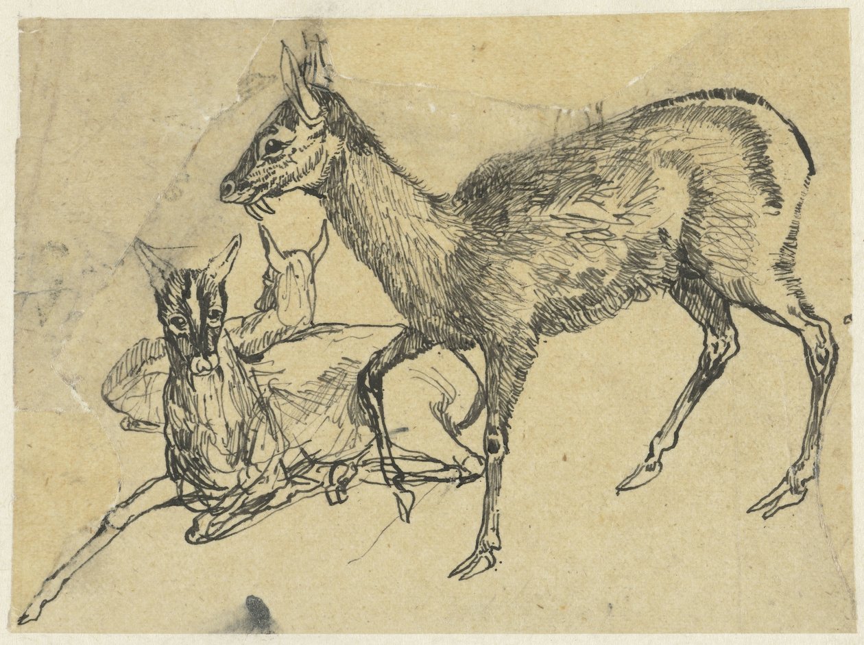 Três veados de Rodolphe Bresdin