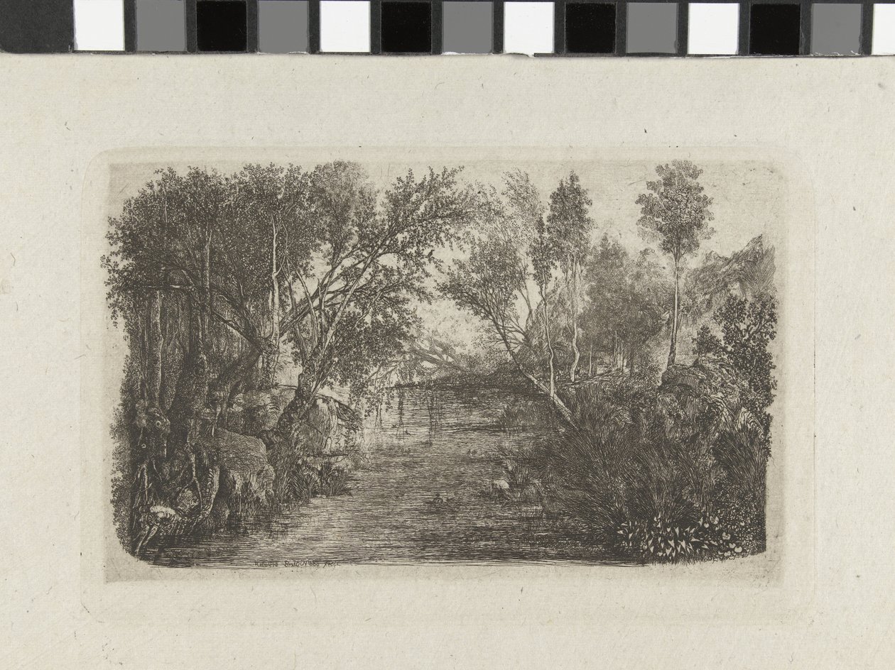 Paisagem com riacho e árvores nas margens
Le cours d