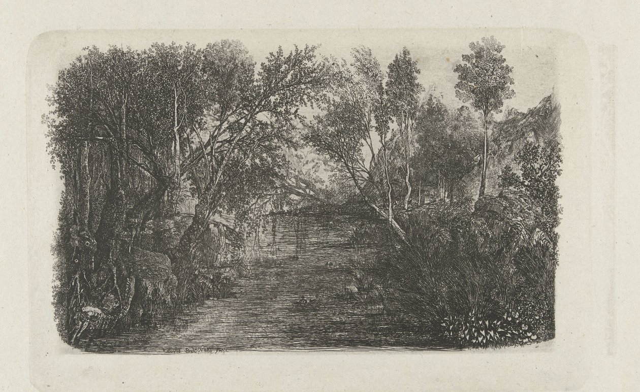 Paisagem com riacho e árvores nas margens Le cours d