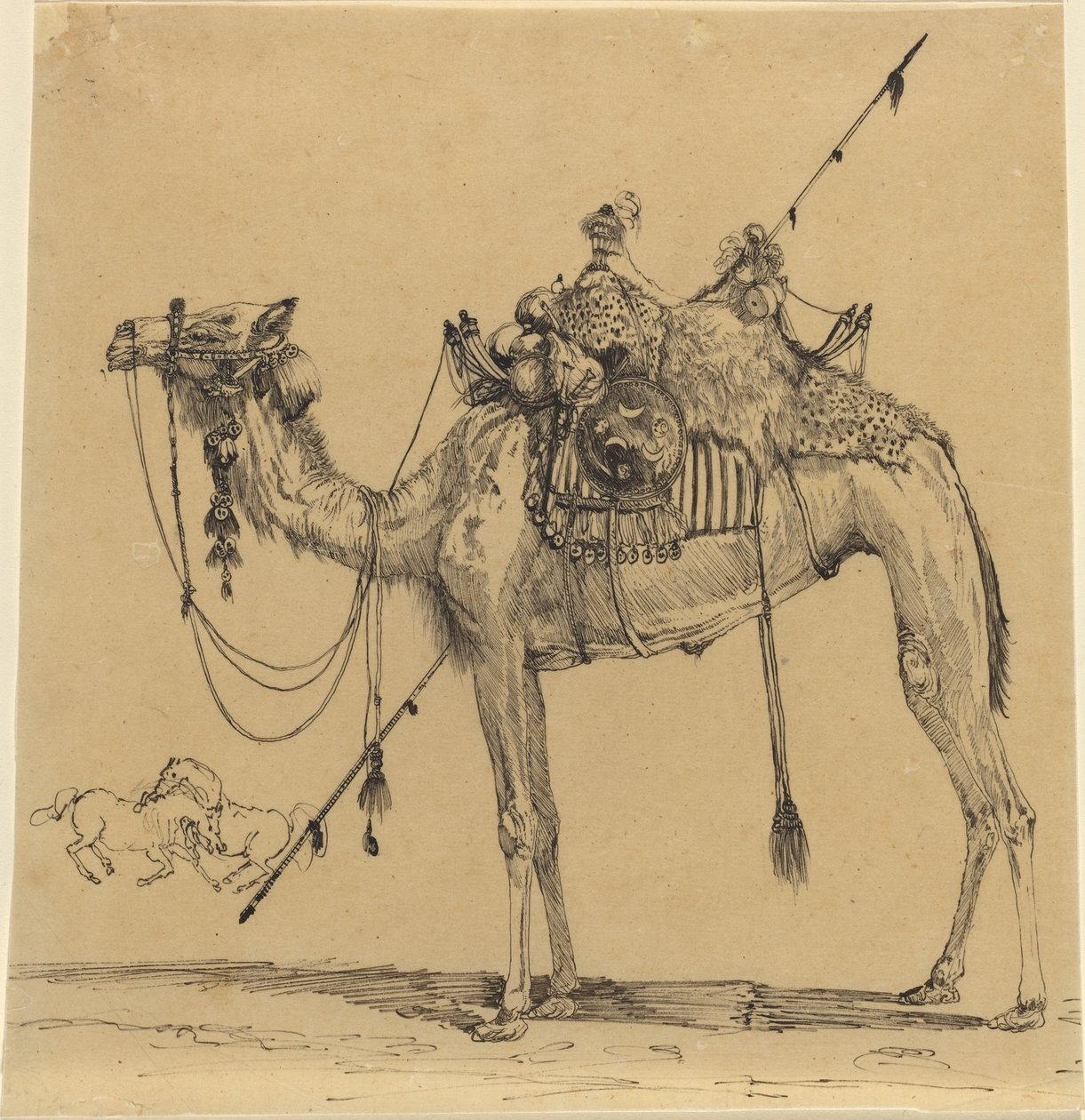 O camelo de Rodolphe Bresdin