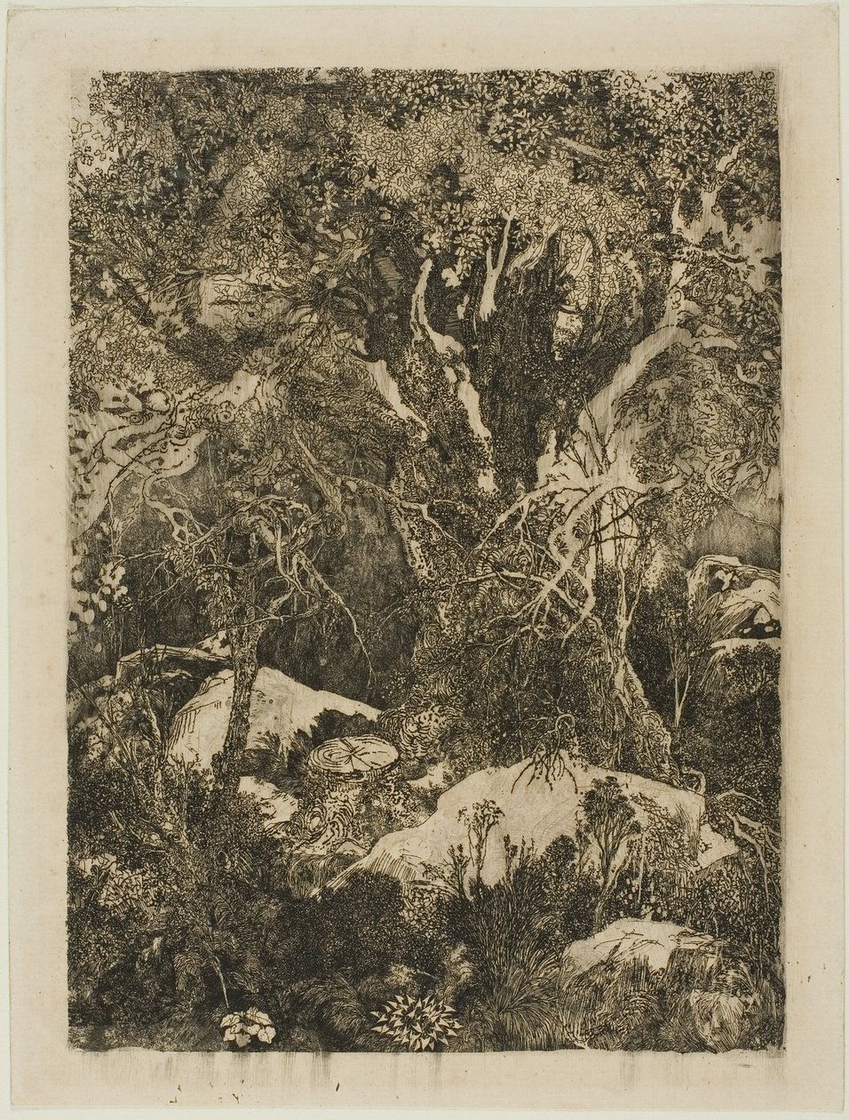 A Floresta de Fontainebleau de Rodolphe Bresdin
