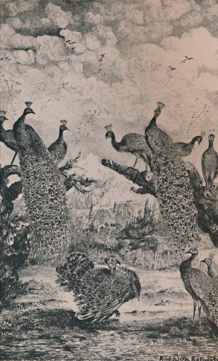 Os Pavões, 1869, 1946 de Rodolphe Bresdin