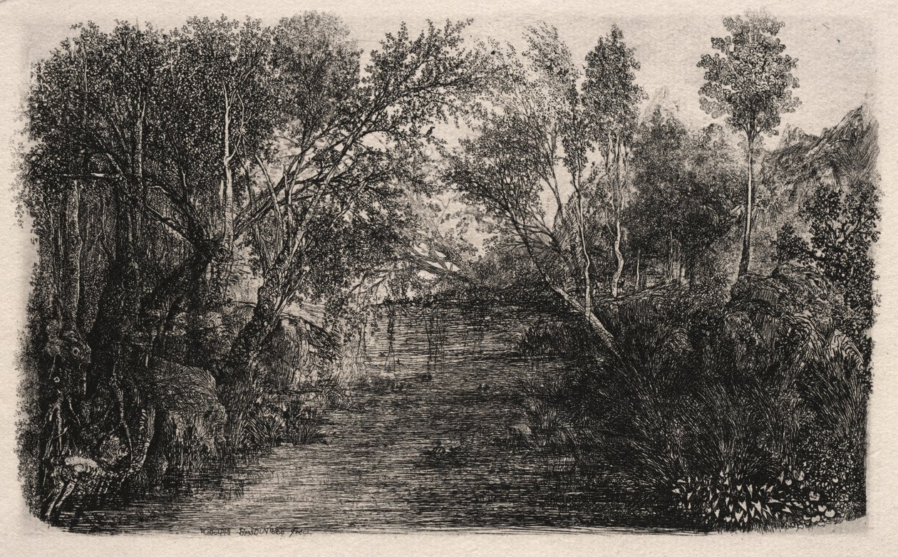 O córrego, 1880. de Rodolphe Bresdin