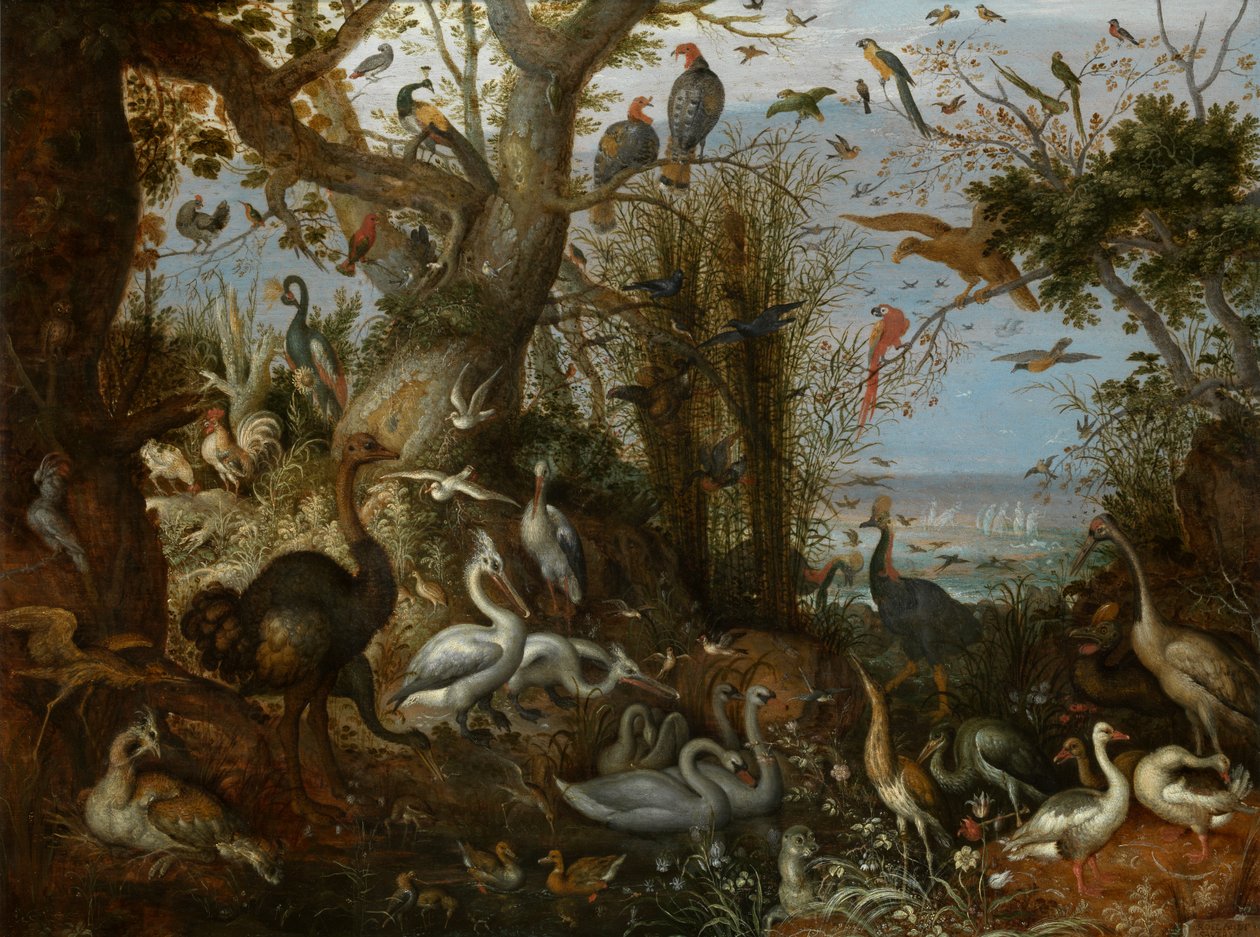 Aves de capoeira de Roelandt Jacobsz. Savery