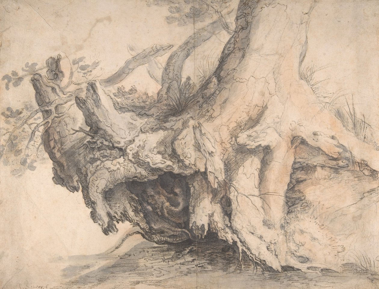Estudo de uma árvore, c. 1606-7. de Roelandt Savery