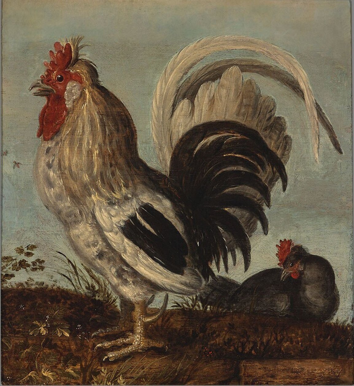 Um galo de Roelandt Jacobsz. Savery