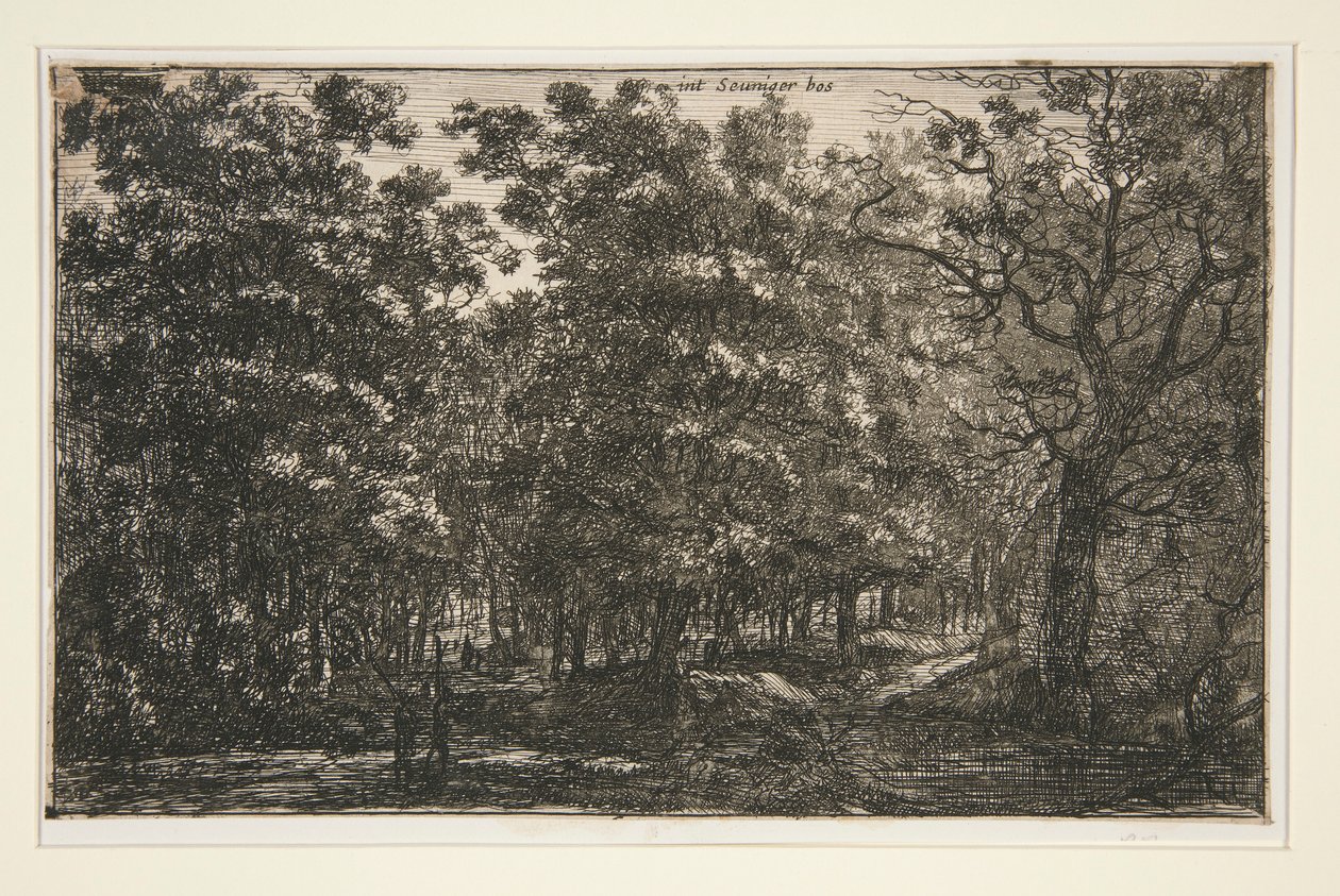 Int Seuniger Bos de Roelant Roghman