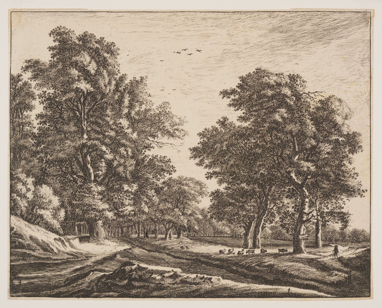 N.º 4, de Seis vistas no bosque de Haia de Roelant Roghman