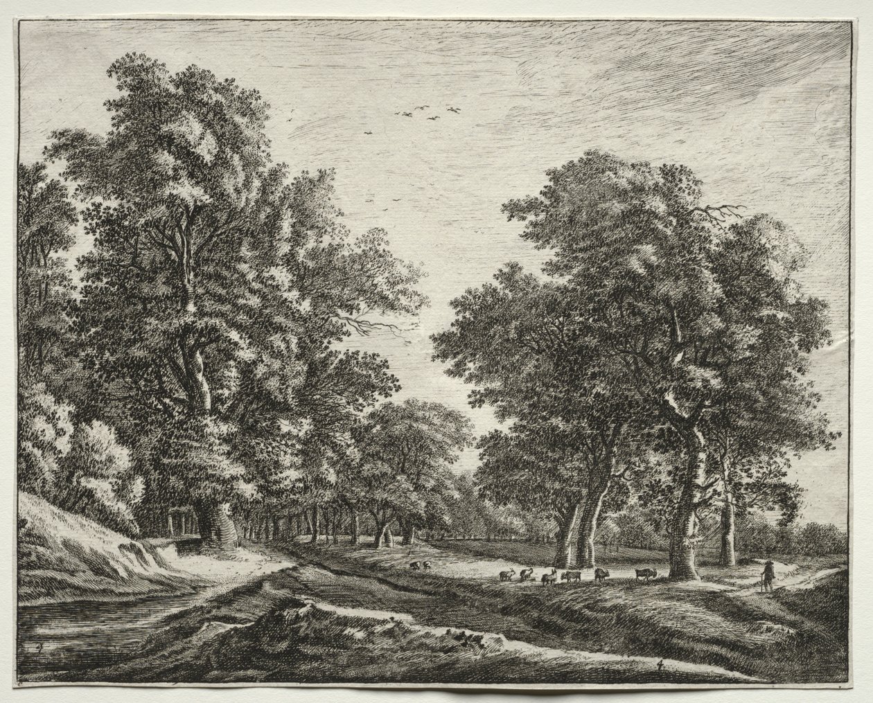 Seis vistas no Bosque de Haia: Placa 4, Cabras Sob as Árvores de Roelant Roghman