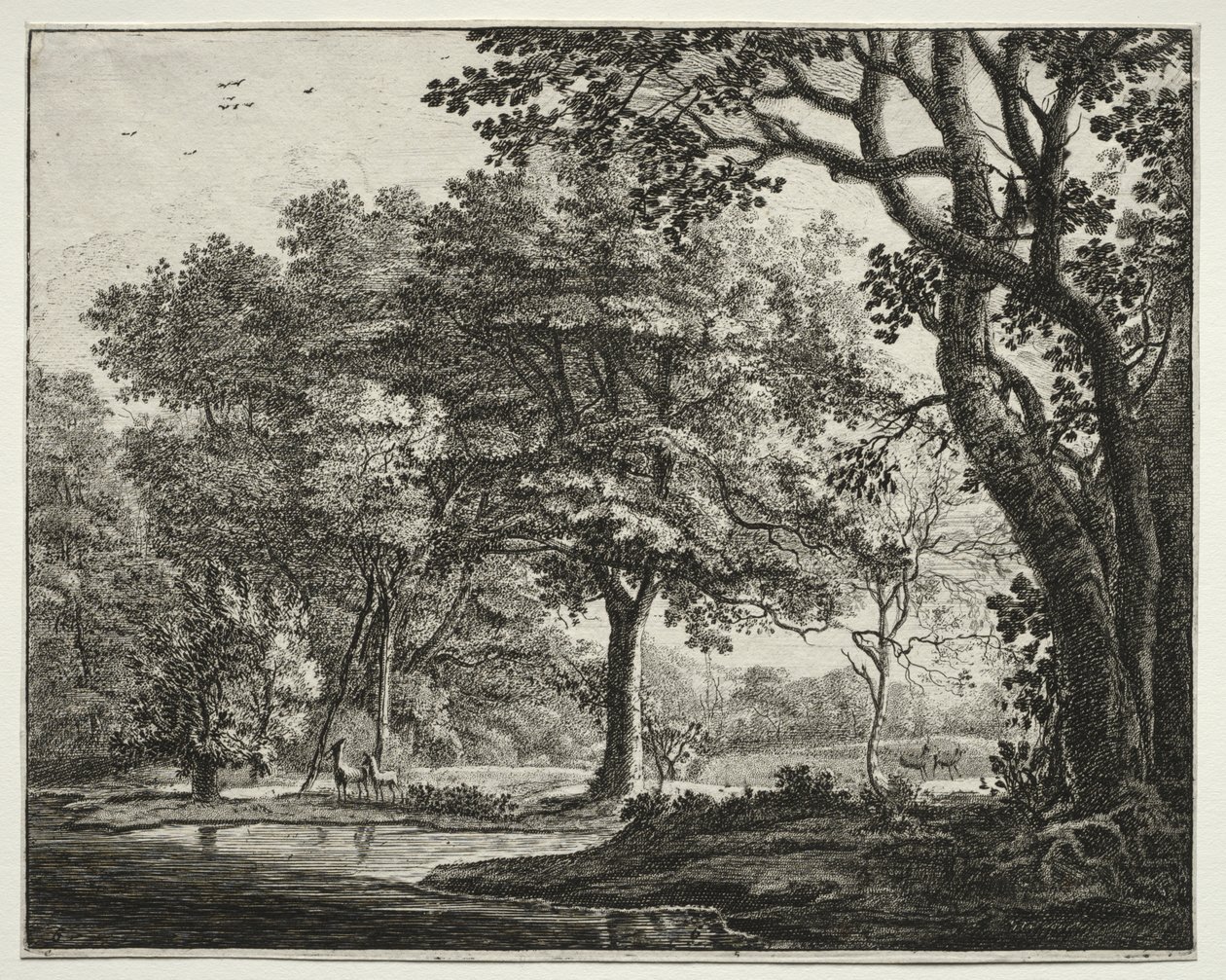 Seis vistas no Bosque de Haia: Placa 6, Dois Cervos de Roelant Roghman