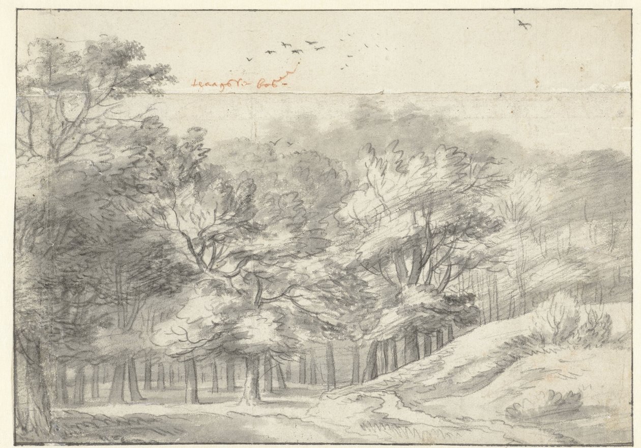 Vista no Haagse Bos de Roelant Roghman