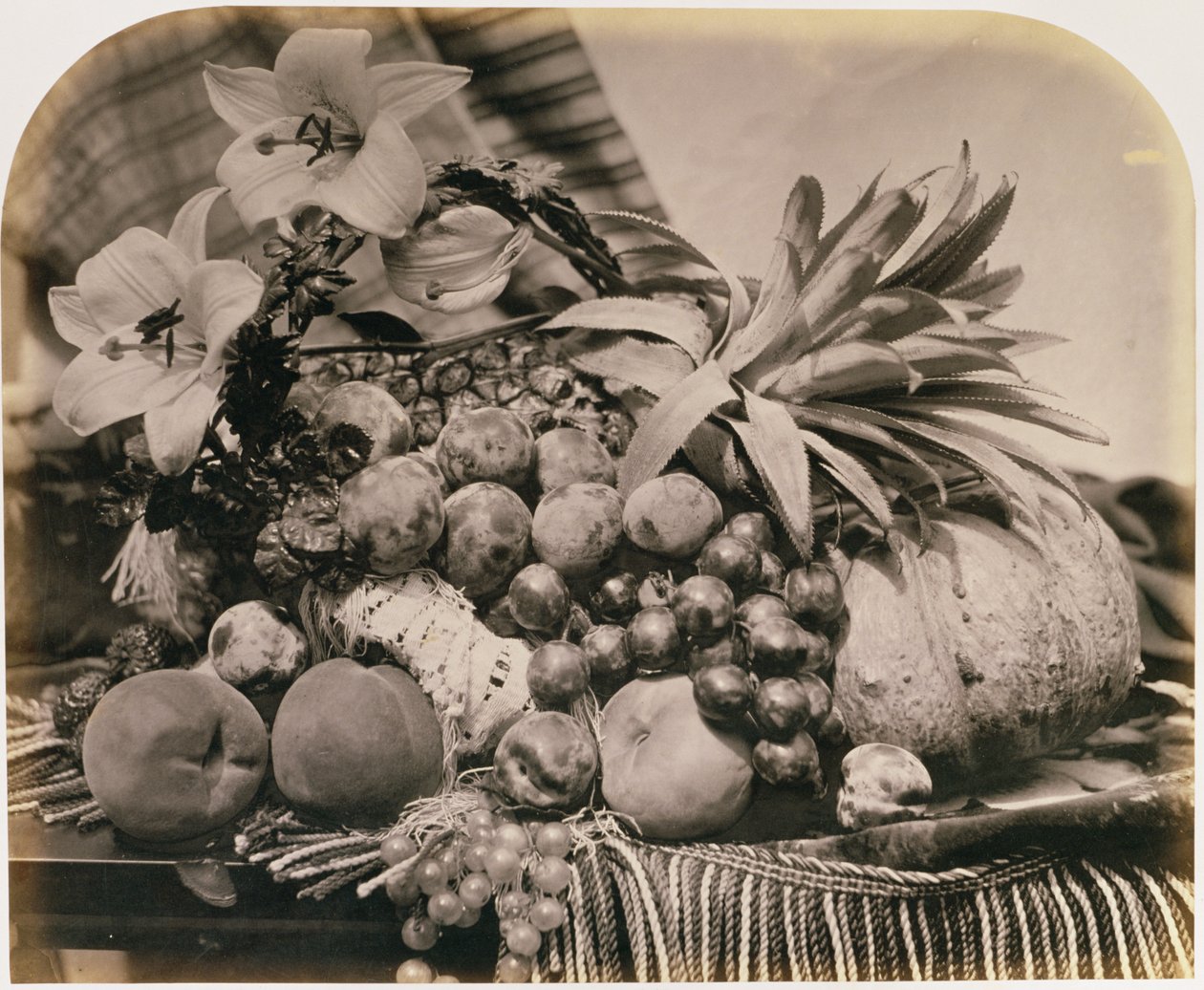 Ainda vida com frutas, 1860 (foto sépia) de Roger Fenton