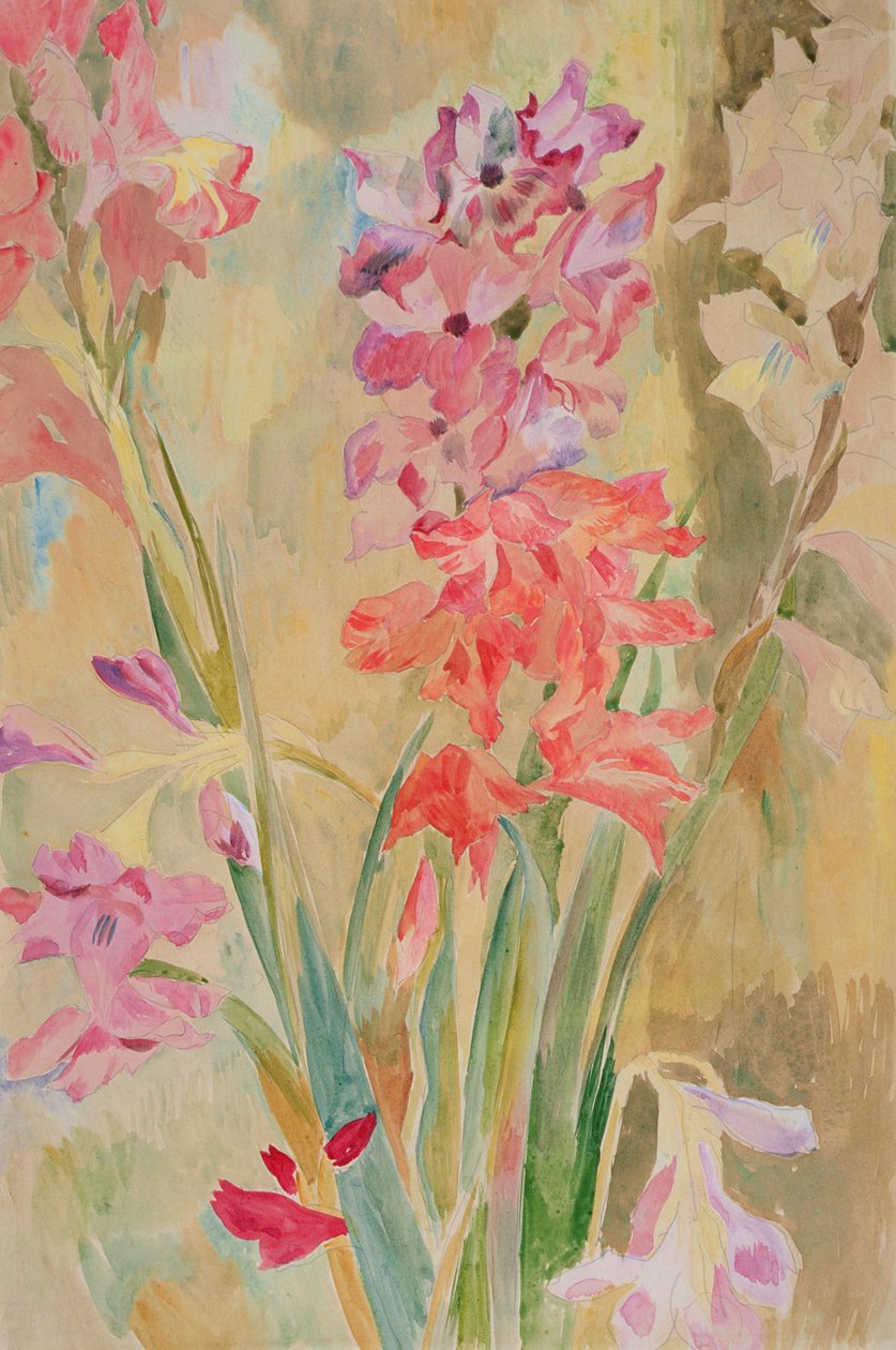 Gladíolos, c.1915 (wc no papel) de Roger Eliot Fry