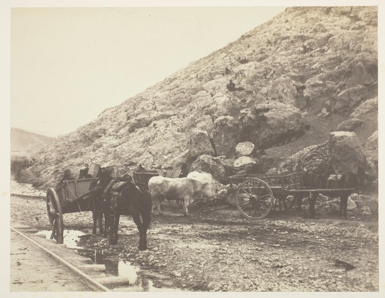 Gado e carroças, saindo de Balaklava de Roger Fenton