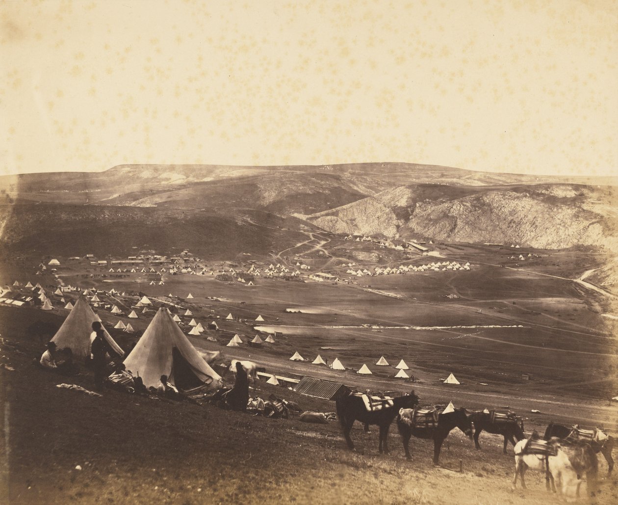 Campo de cavalaria, Balaklava de Roger Fenton
