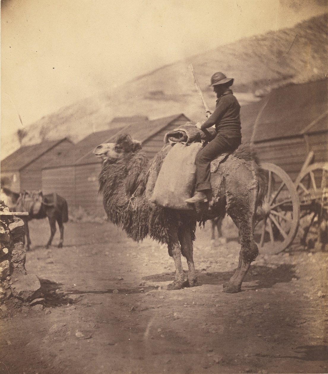[Homem montado num camelo] de Roger Fenton