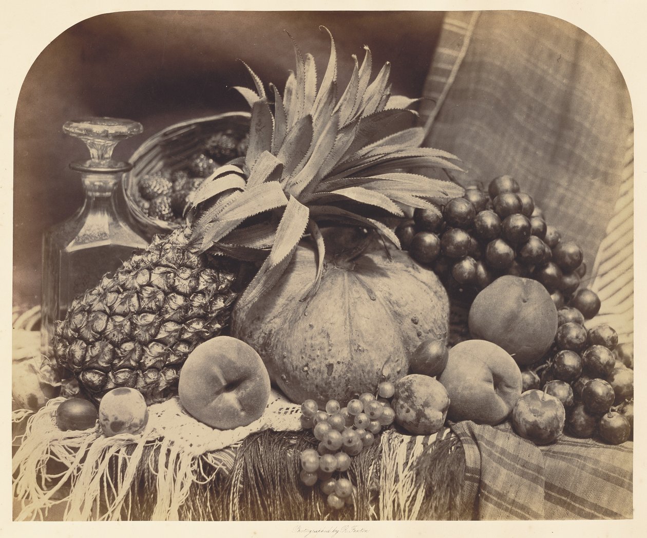 Natureza-morta com fruta e decantador de Roger Fenton