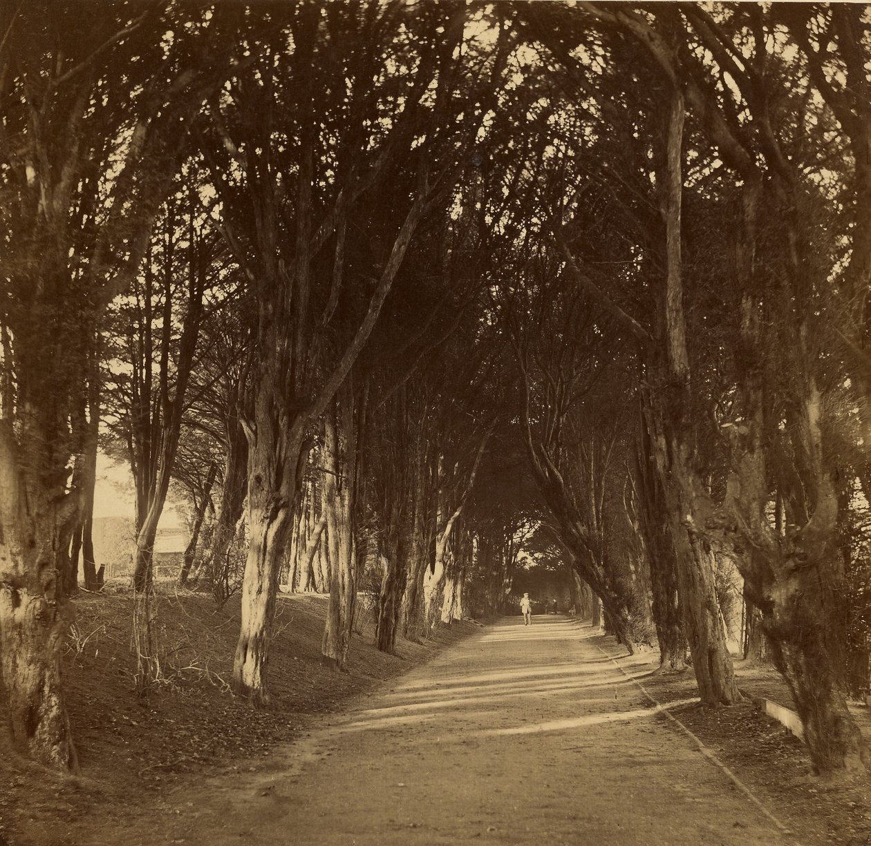 O passeio escuro; Stonyhurst de Roger Fenton