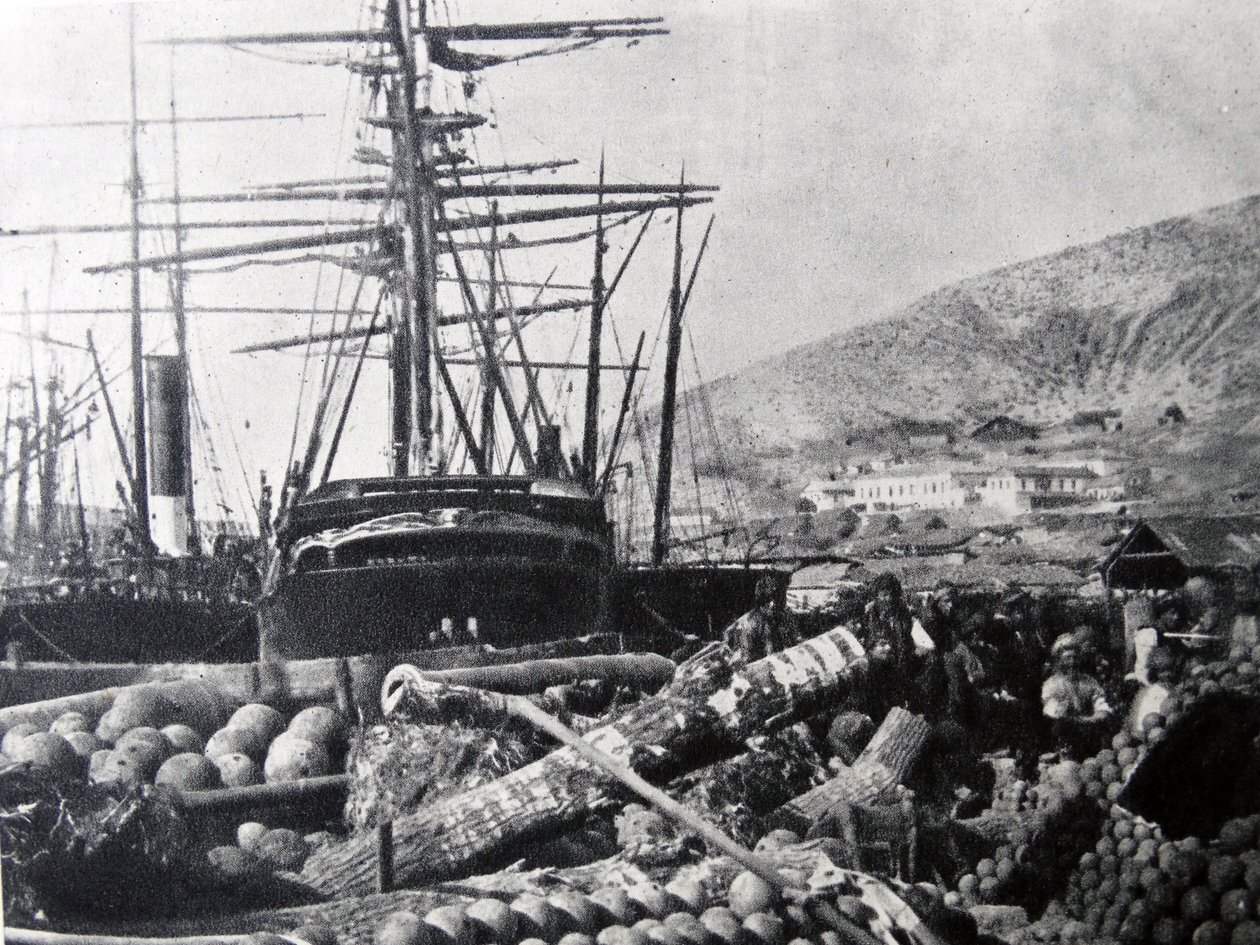 O Cais de Artilharia, Balaclava de Roger Fenton