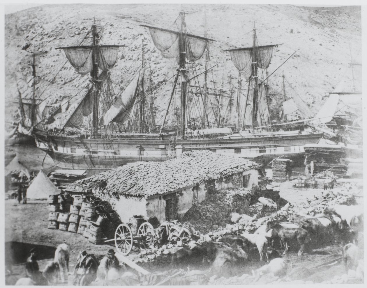 O cais de gado no porto de Balaklava de Roger Fenton