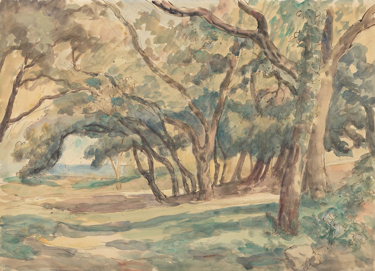 Glade arborizado perto de St. Tropez de Roger Fry