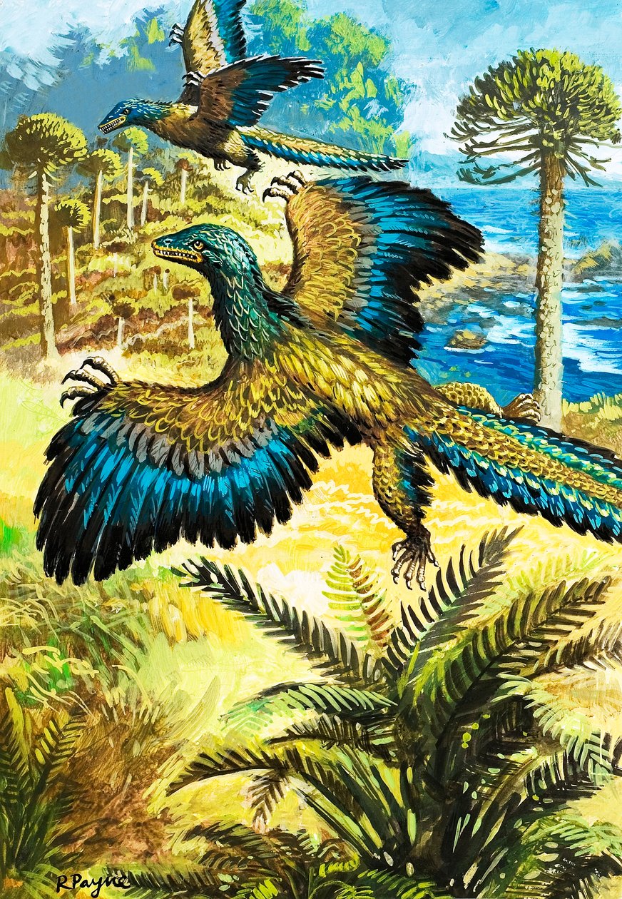 Archaeopreryx de Roger Payne
