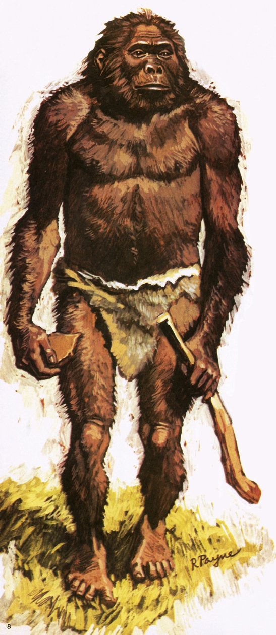 Homem pré-histórico de Roger Payne