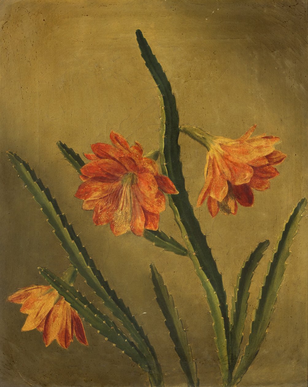 Estudo das flores (óleo sobre tela) de Rolinda Sharples
