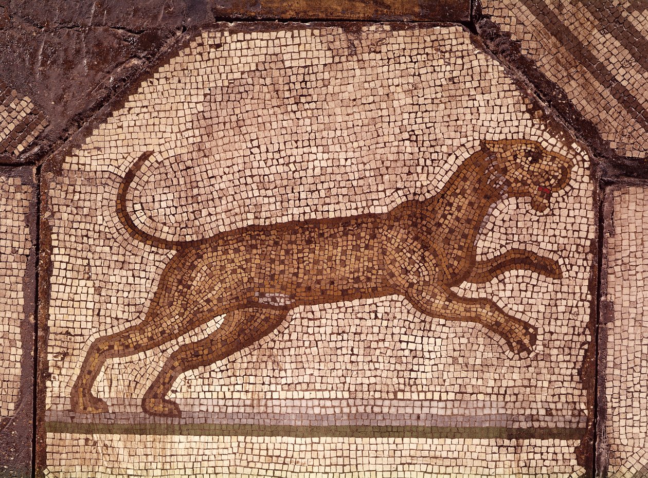Um Leopardo, detalhe de Orfeu Encantando os Animais (mosaico) de Roman