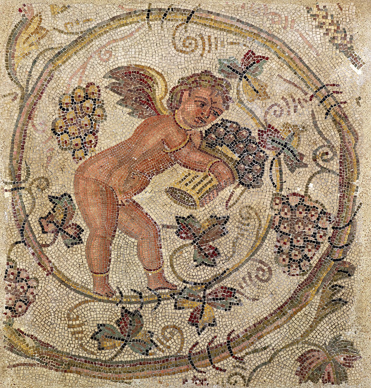 Um, cupid, colheita, uvas, fragmento, de, pavimento, de, carthage, tunísia, (mosaic) de Roman