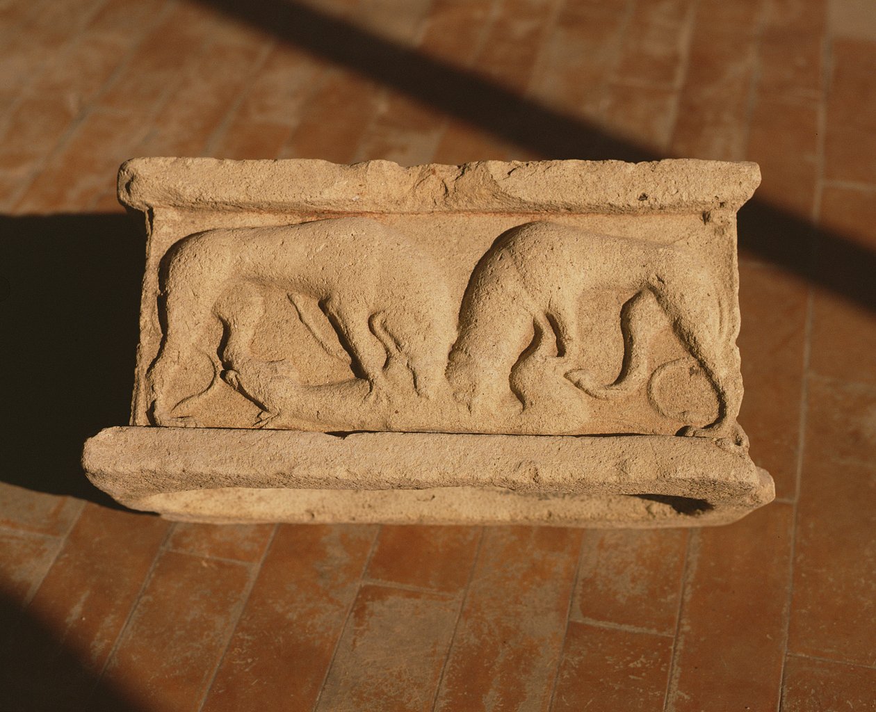 Arula de Roman