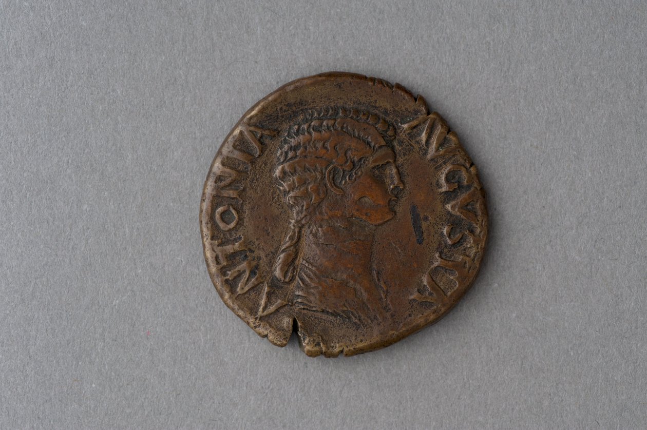 Como Moeda de Antonia (bronze) de Roman