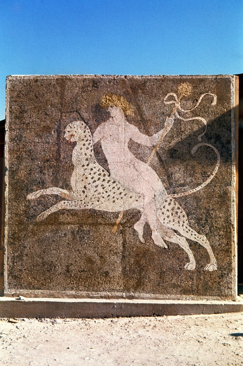 Baco, montando um leopardo, 1º-2º século dC (mosaico) de Roman