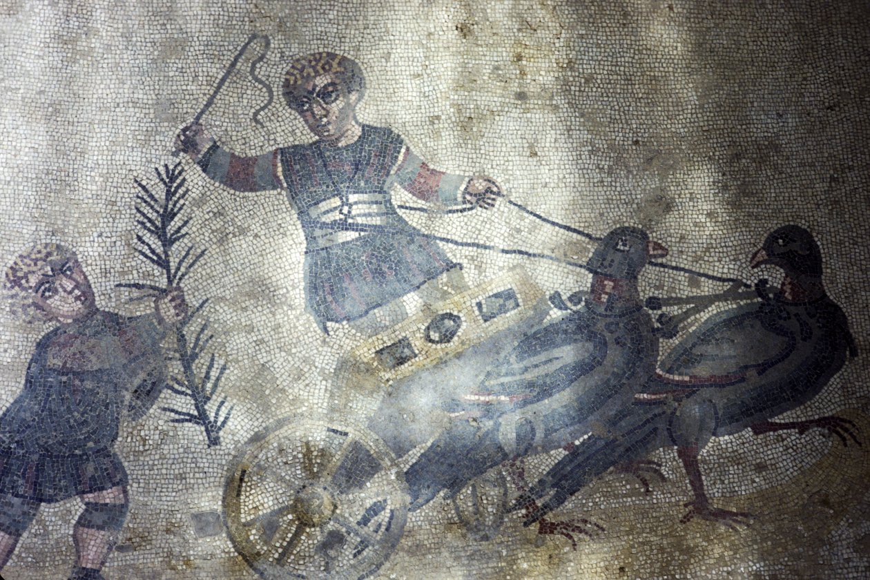 Pássaro Cocheiro (mosaico) de Roman