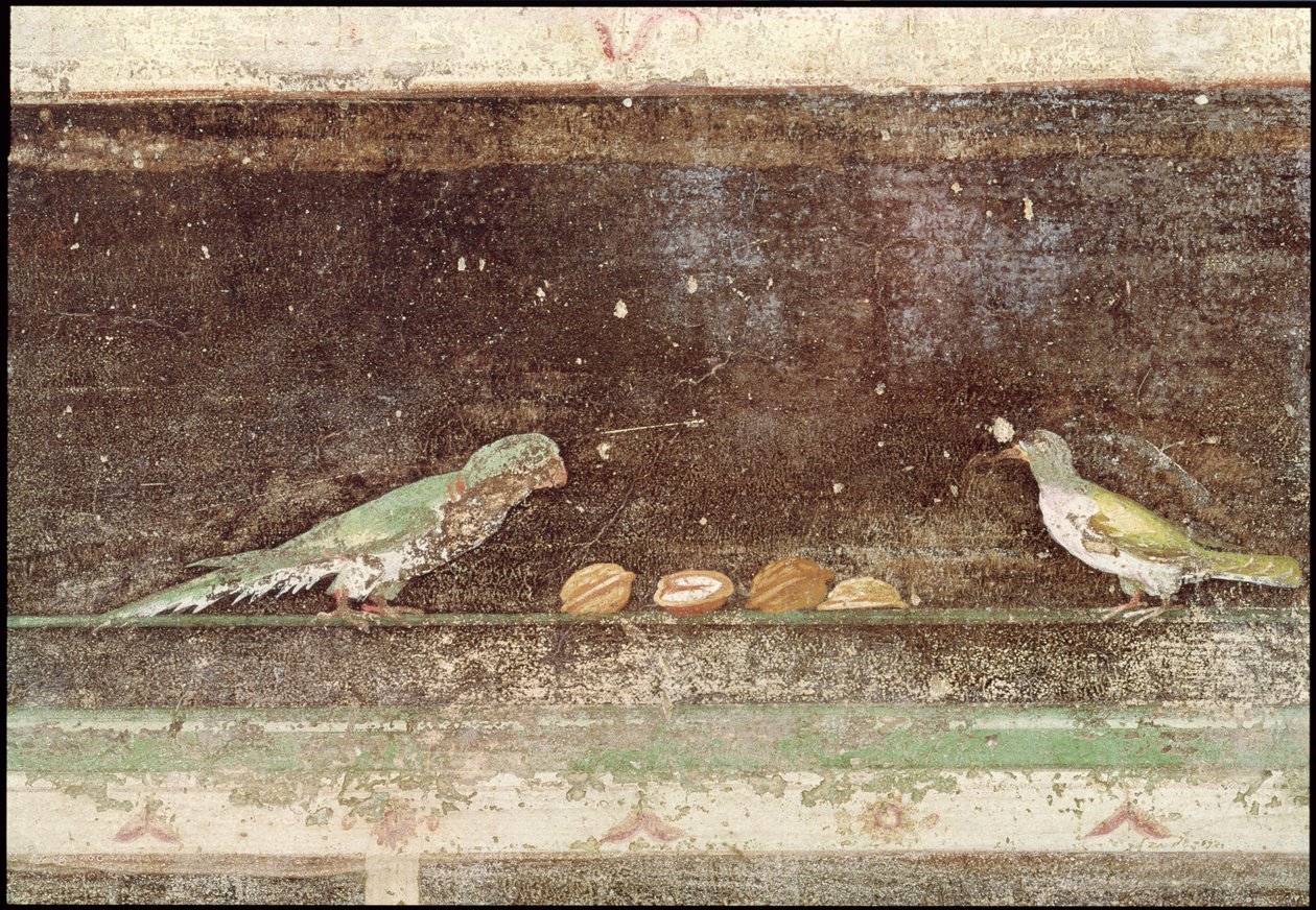 Aves comendo nozes, detalhe de um tablinium decorado com pinturas de estilo egípcio, c.27-14 aC de Roman