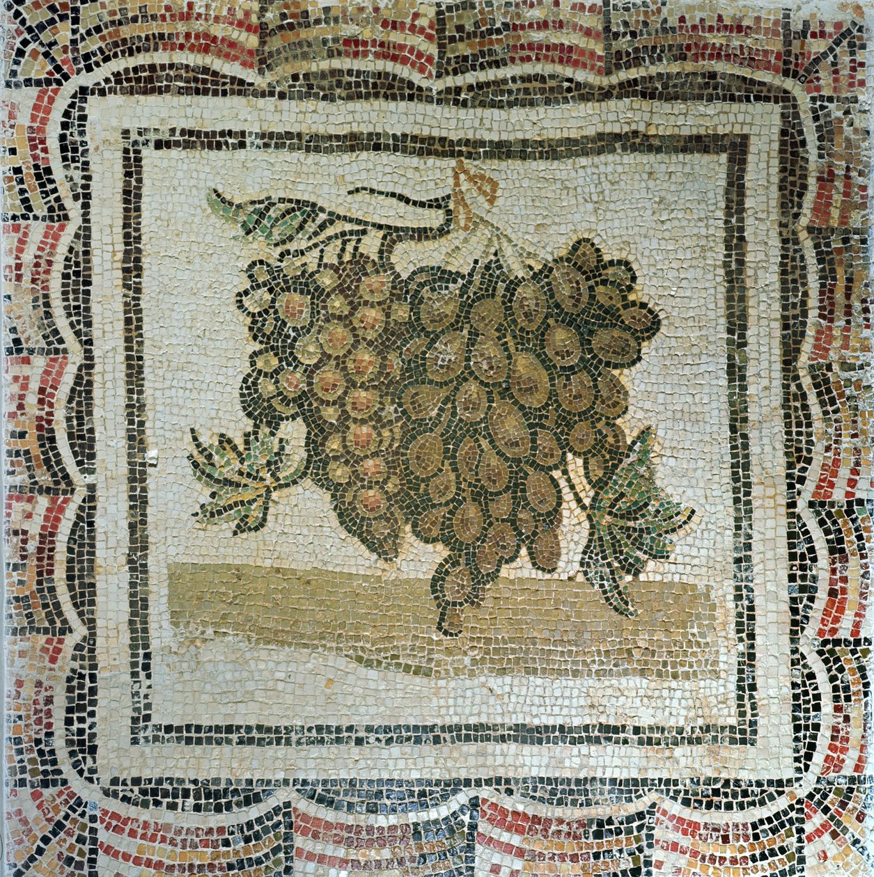 Cacho de uvas brancas, mosaico romano (mosaico) de Roman